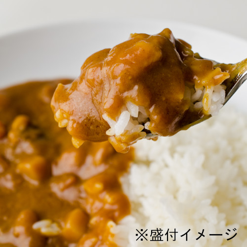 淡路島玉ねぎカレー中辛　３食入り