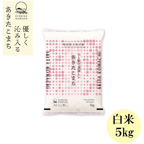 【新米】秋田県大潟村産 あきたこまち 5㎏