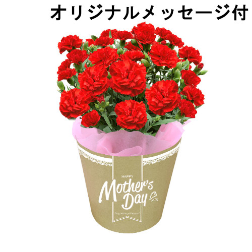 【メッセージ付き】カーネーション　赤