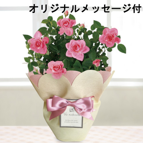 【メッセージ付き】ミニバラ　ピンク