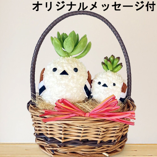 【メッセージ付き】飾れる多肉植物・シマエナガ