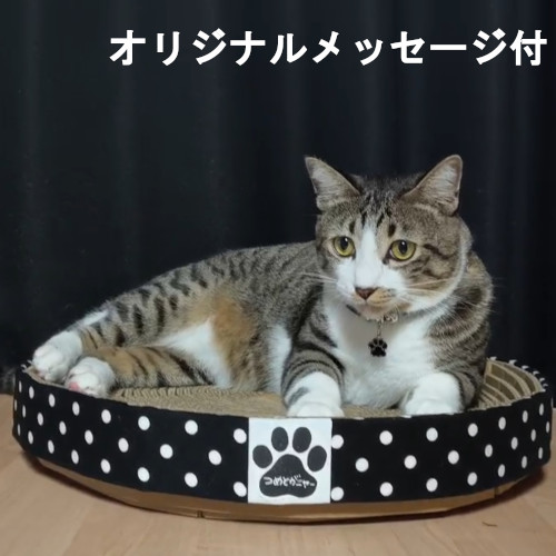 【メッセージ付き】つめとがニャー