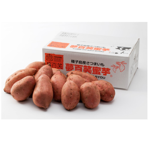 【種子島産】夢百笑蜜芋　約3㎏