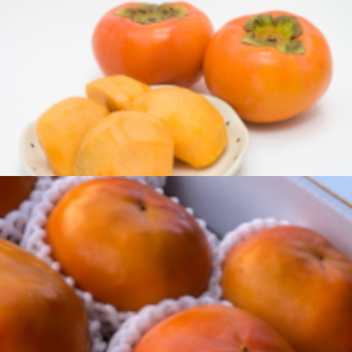 【和歌山県産】富有柿　約3㎏