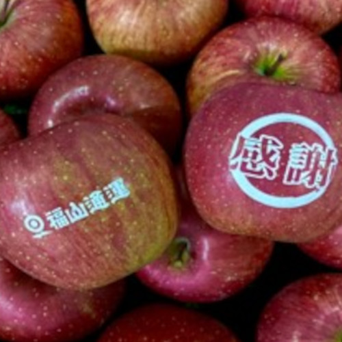 福山通運　社名入り　青森県産　サンふじりんご『感謝』