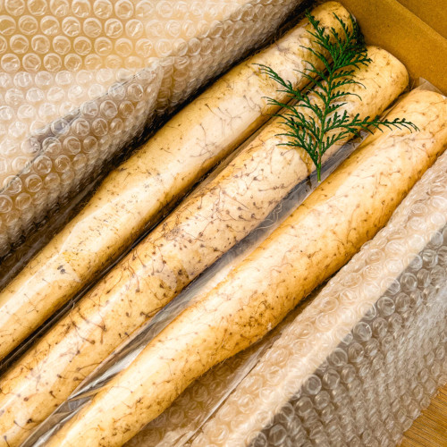 宮崎県産　大ちゃん自然薯