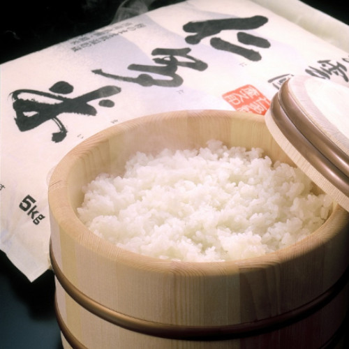 出雲國　こしひかり　仁多米　10㎏