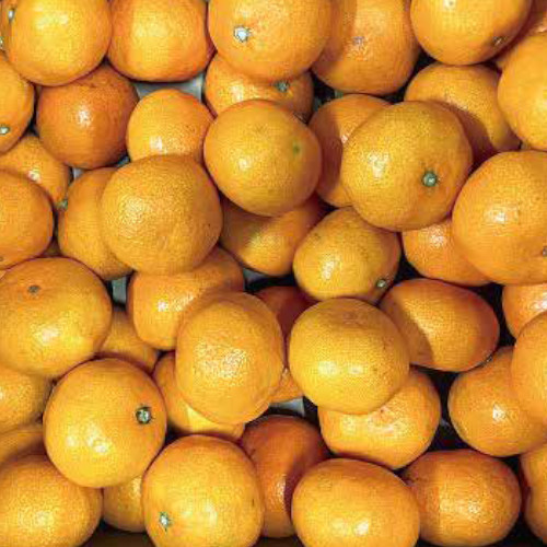 西宇和みかん「風車」（家庭用）