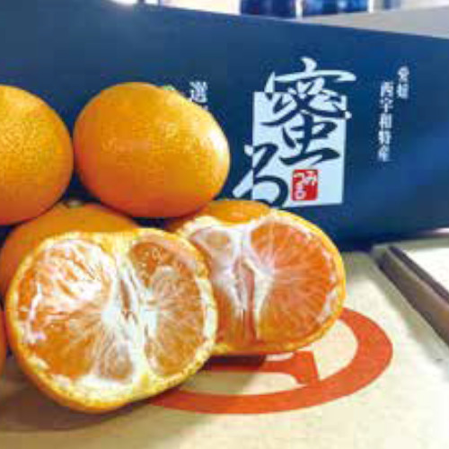 西宇和特産「蜜るみかん」