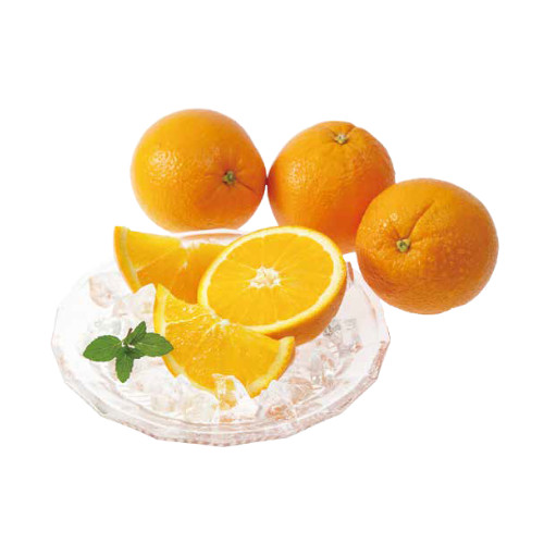 せとだネーブル　2L