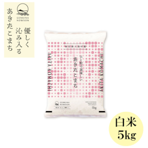 【新米】秋田県大潟村産 あきたこまち 5㎏