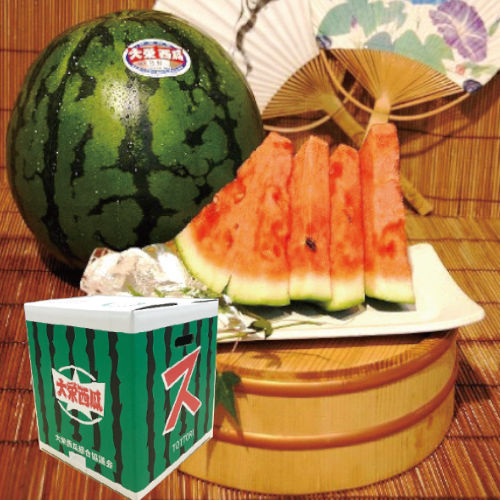 【鳥取県産】大栄の大玉すいか