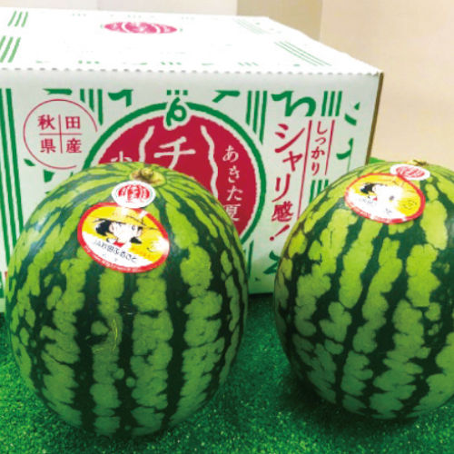 【秋田県産】あきた夏丸チッチェ（小玉スイカ）