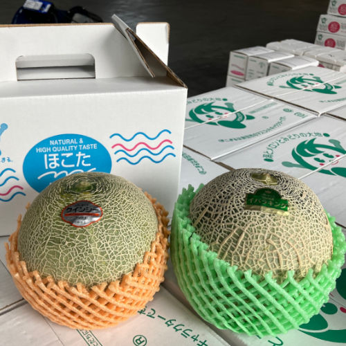 【茨城県産】茨城県産　メロンミックス