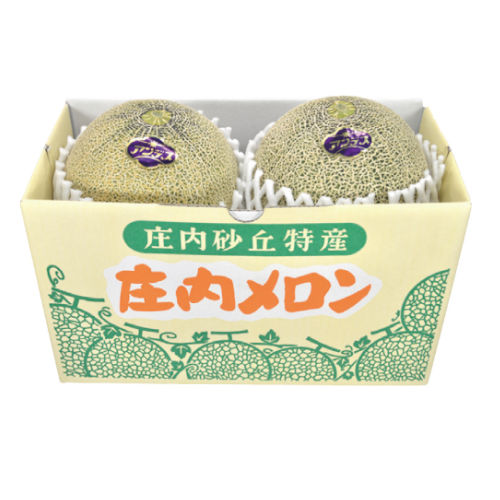 【山形県産】庄内砂丘メロン（特選アンデス）2玉