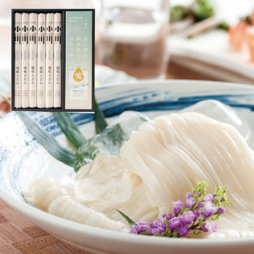 稲庭うどん・旨み香る出汁つゆセット