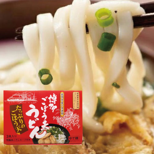 博多ごぼう天うどん