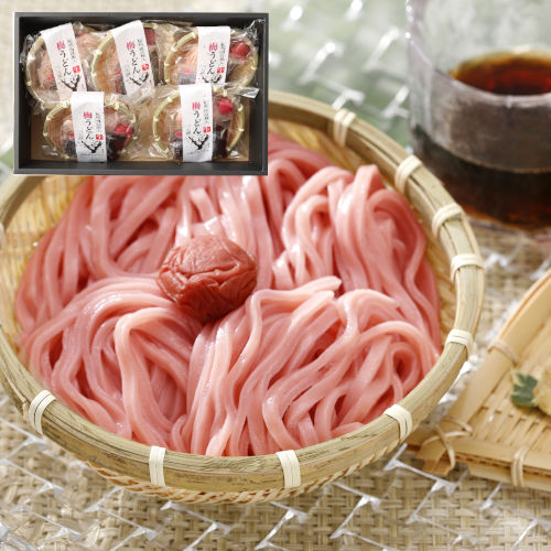 丸ざる梅うどん　5食