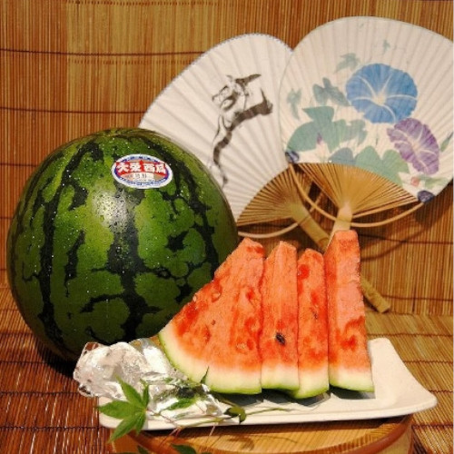 【鳥取県産】大栄の大玉すいか