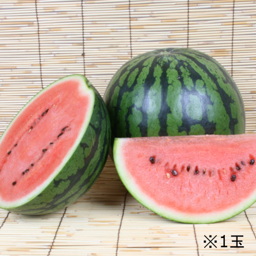 植木すいか