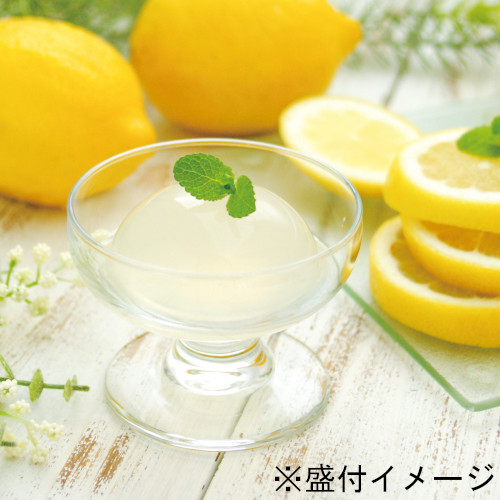 塩レモンゼリーギフトセット