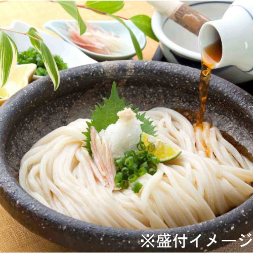 さぬき半生うどん10人前