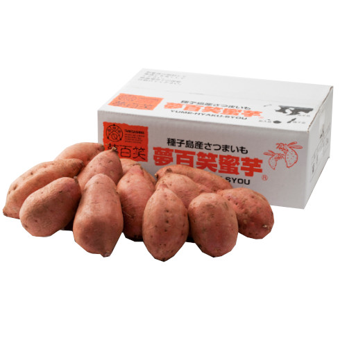 【種子島】種子島 夢百笑蜜芋(3kg)