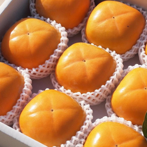 【和歌山県】たねなし柿 お徳用(7kg)